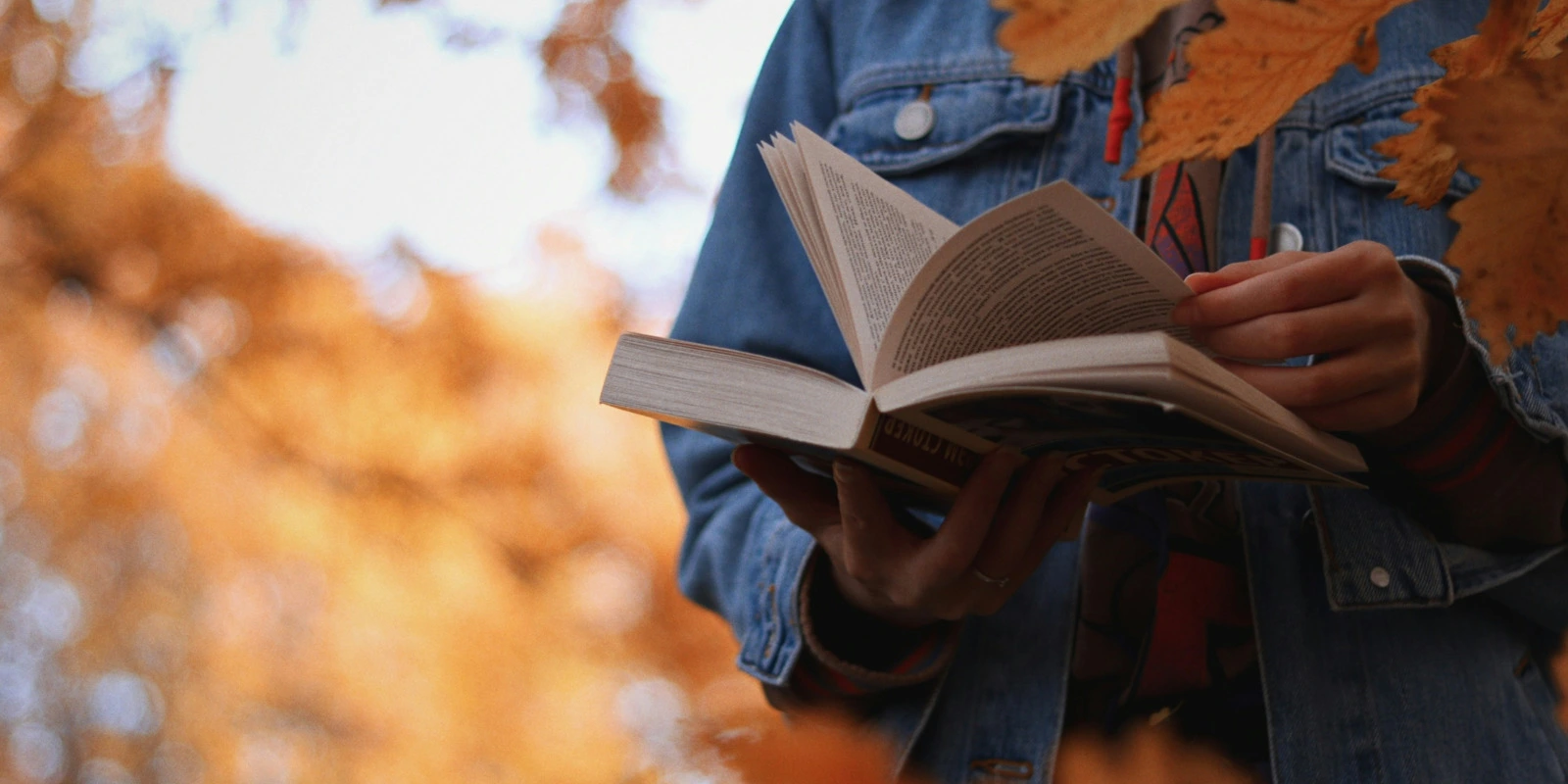 Définition de la Science Politique