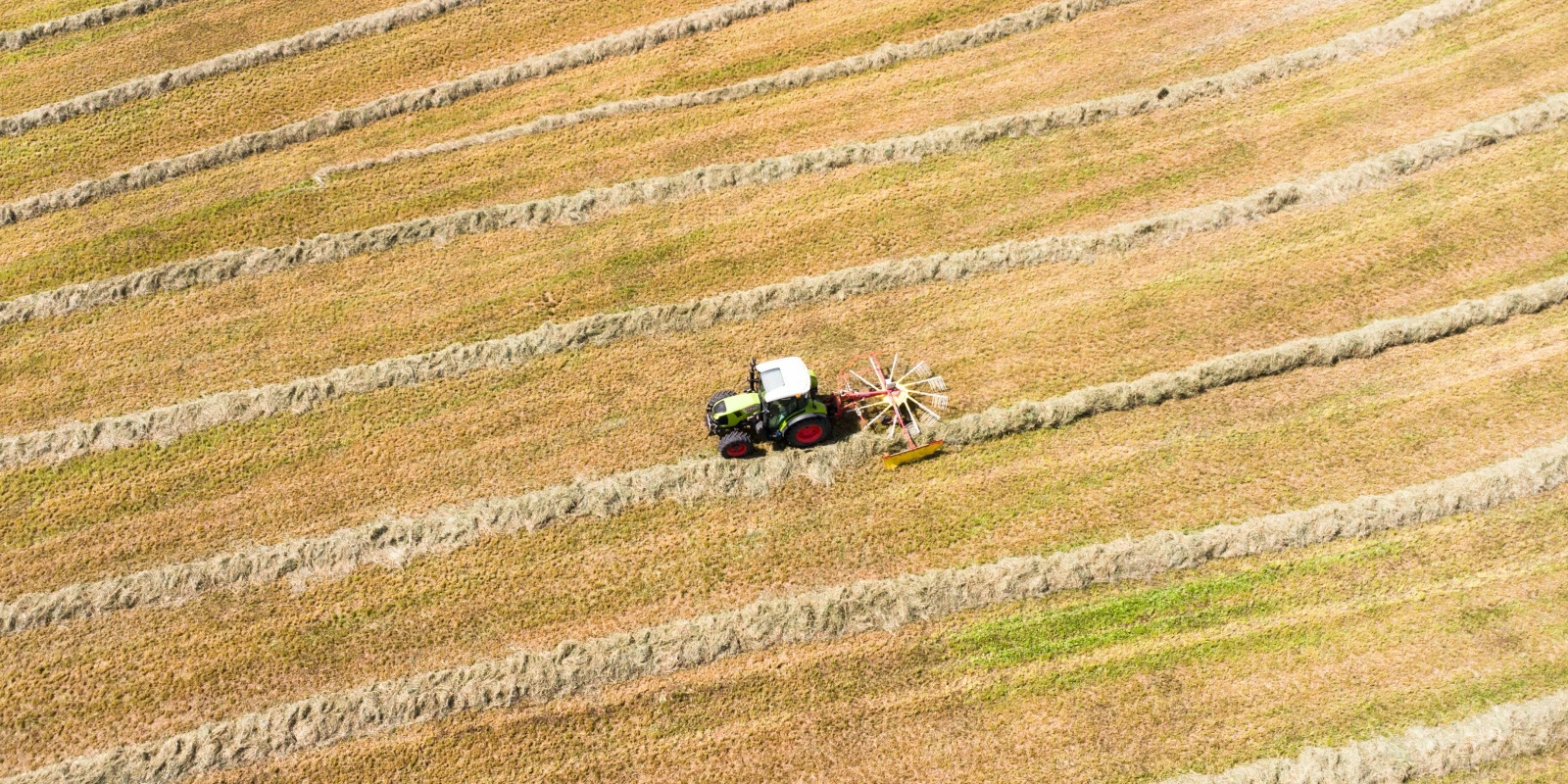École Sciences Po : Admission et Inscriptions