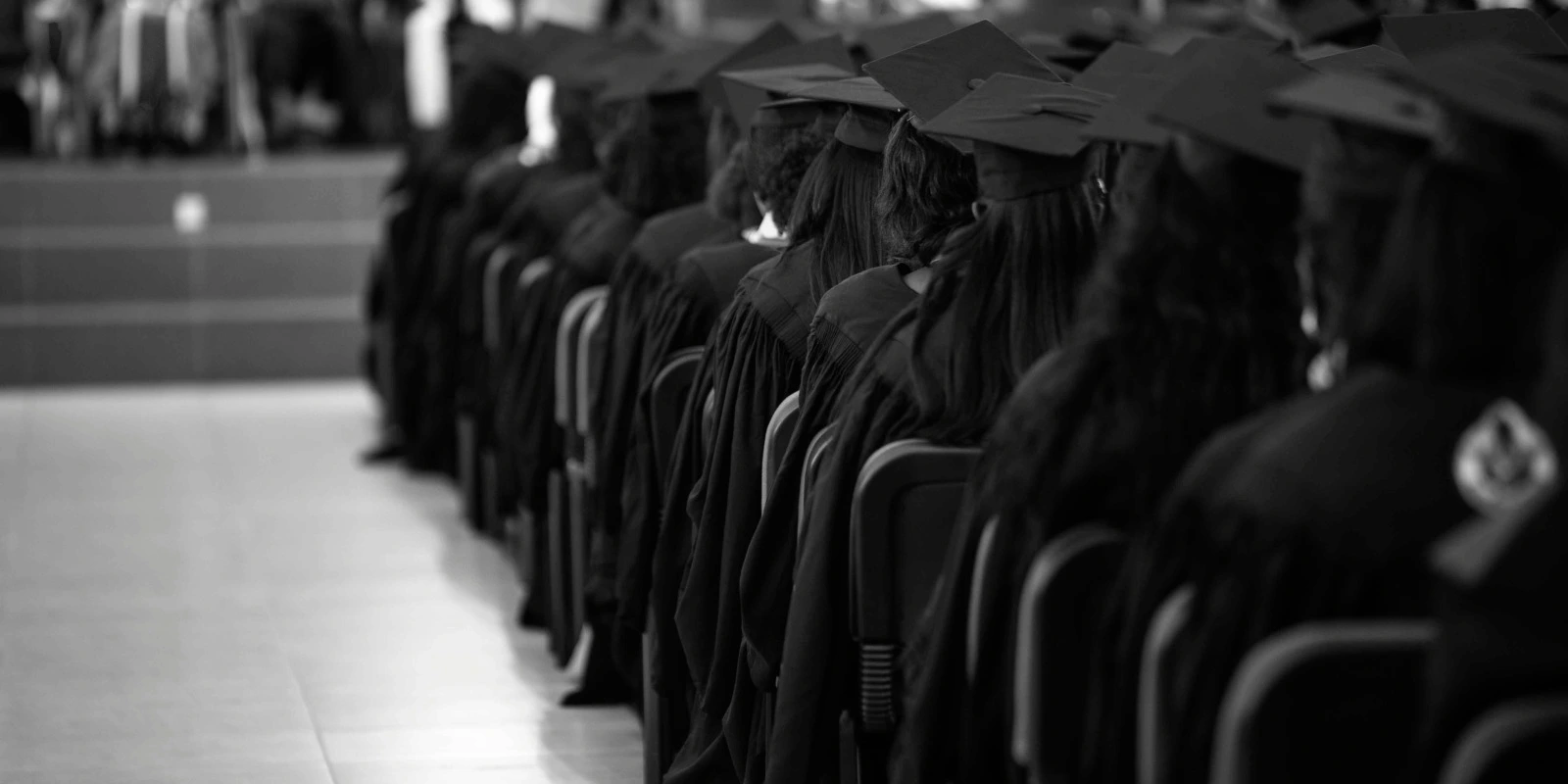 Licence Science Politique Lyon : Programme