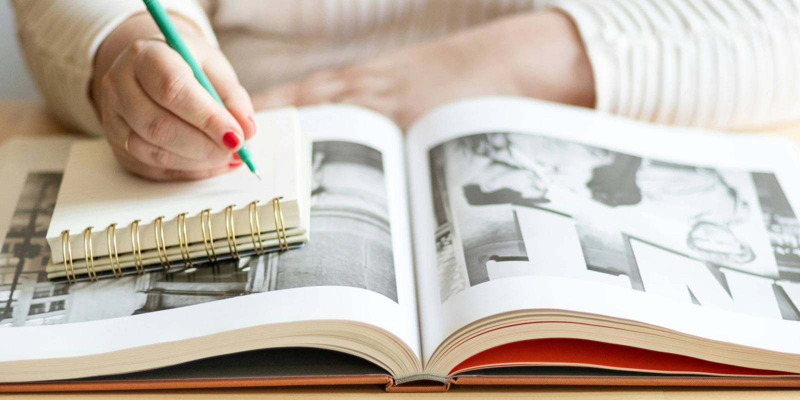 Licence Science Politique : Parcours à Toulouse