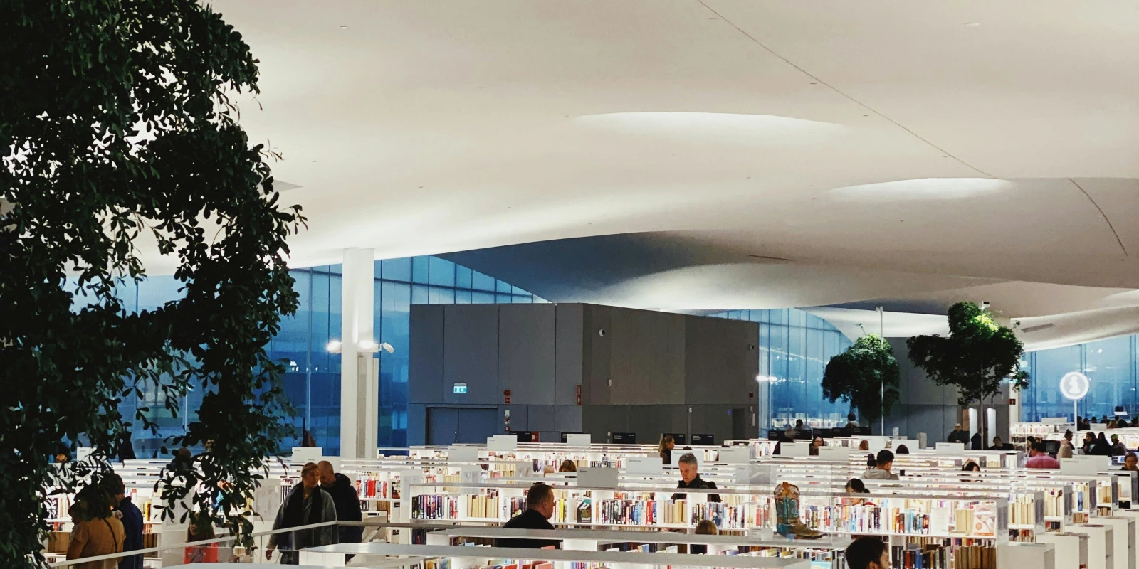 Master en Cours du Soir à Sciences Po