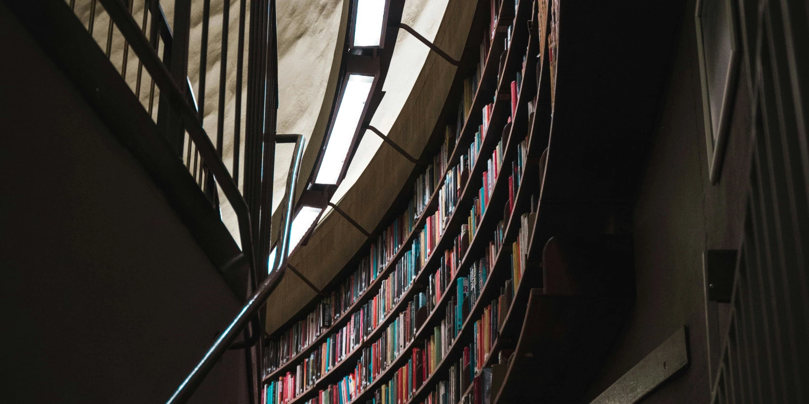 Que Faire Après Sciences Po ?